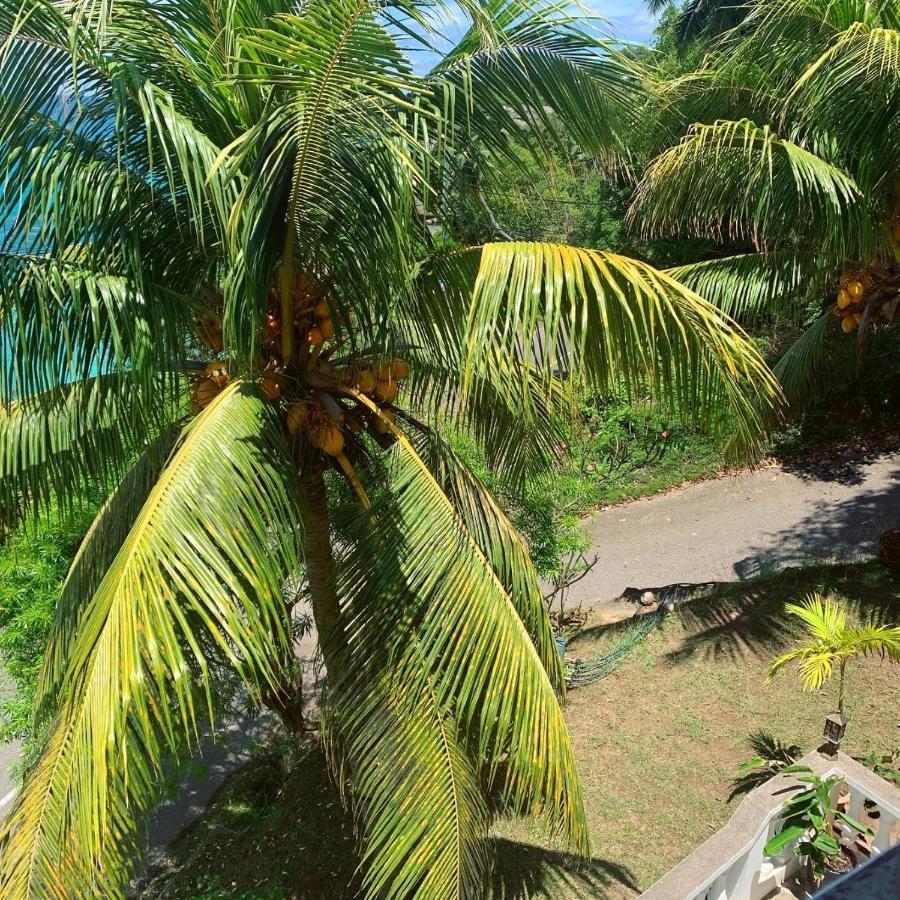 Machabee Epea Ocean View Apartment Tortoise المظهر الخارجي الصورة